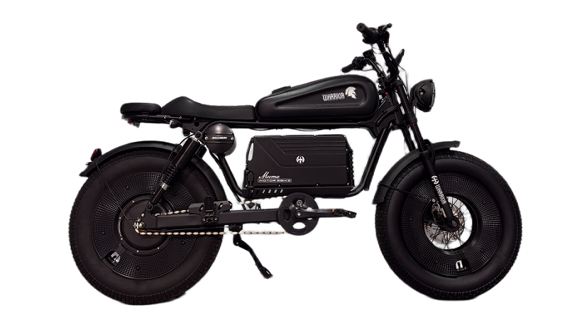 Viewpoint at Dariva reached on FatSaddle custom bikes