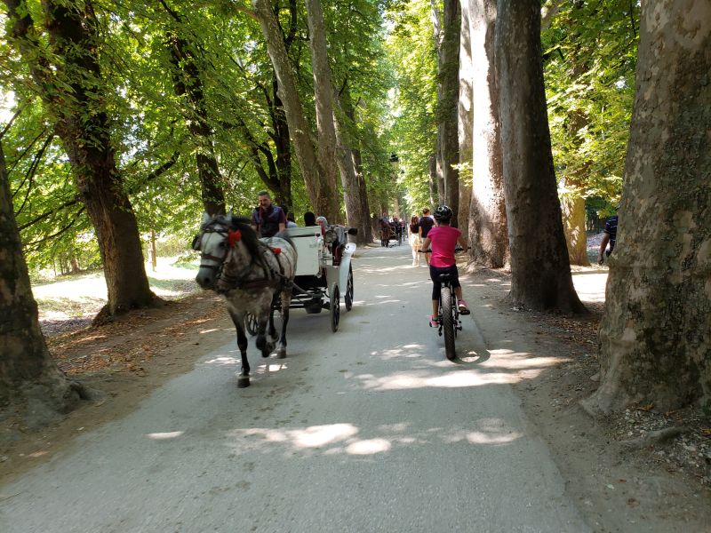 Sarajevo Ilidza ebike tour ride - along the horse carriage